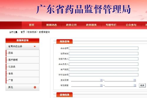 醫(yī)療器械產(chǎn)品技術(shù)要求開放查詢 專業(yè)解讀與技術(shù)服務(wù)指南